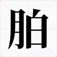 胉字的字形和写法
