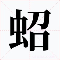 蛁字字形