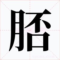 脴字的字形和写法