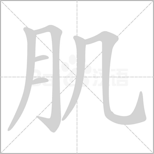肌字笔顺图
