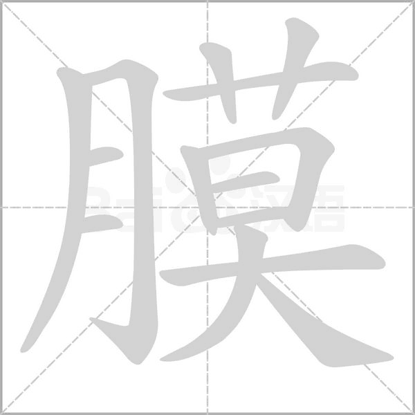 膜字笔顺图