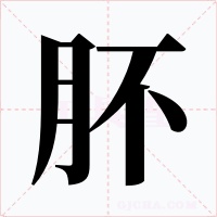 肧字的字形和写法