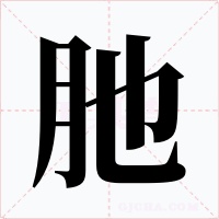 肔字的字形和写法