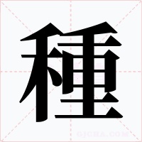 種字的字形和写法
