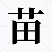 苗字字形