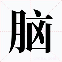 脑字的字形和写法