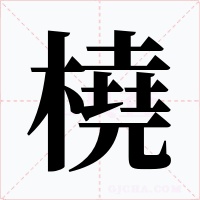 橈字字形