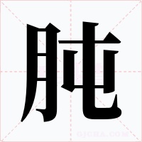 肫字的字形和写法