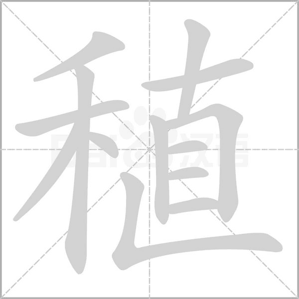 稙字笔顺图
