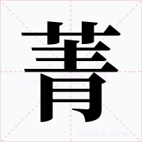 菁字字形