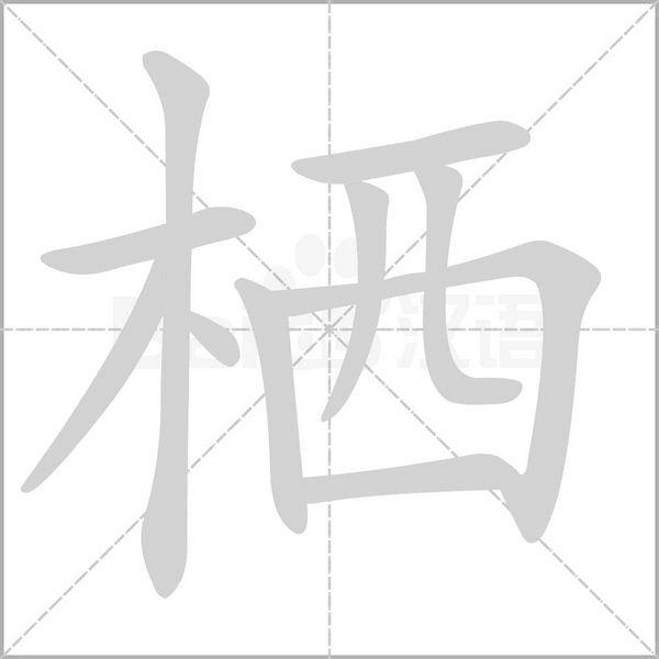 栖字笔顺图