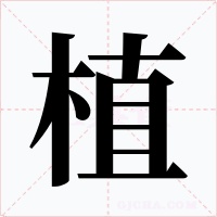 植字的字形和写法