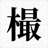 樶字字形