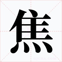 焦字的字形和写法