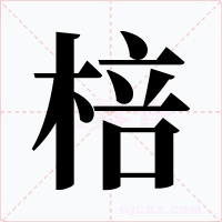 棓字的字形和写法