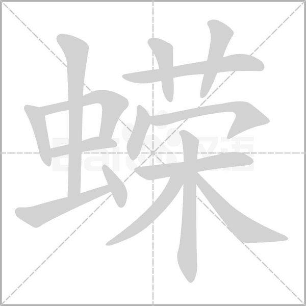 蝾字笔顺图