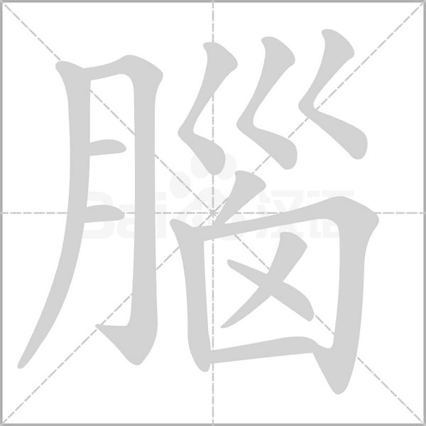 腦字笔顺图