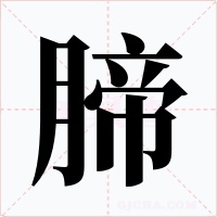 腣字的字形和写法