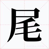尾字字形