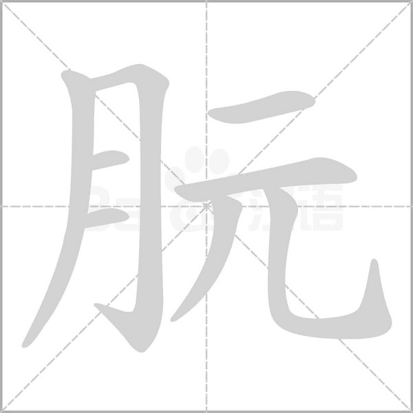 朊字笔顺图
