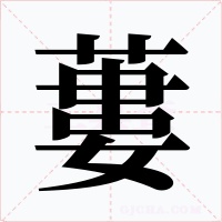 蔞字字形