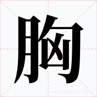胸字的字形和写法