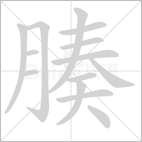 腠字笔顺图