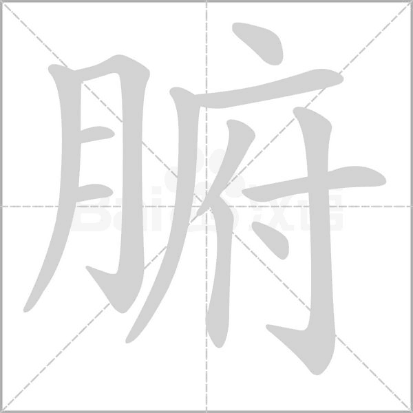 腑字笔顺图