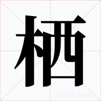 栖字字形