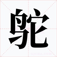 鸵字字形