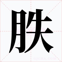 胅字的字形和写法