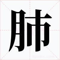 肺字字形