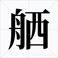 舾字的字形和写法