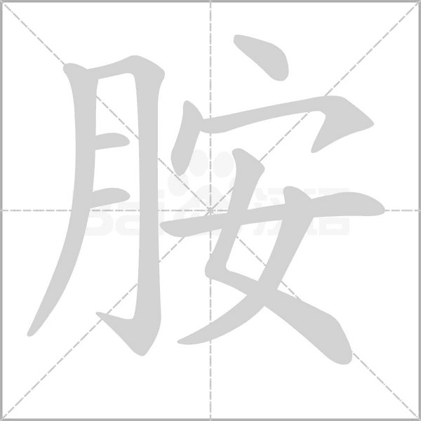 胺字笔顺图