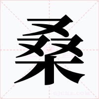 桑字字形