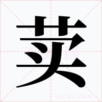 荬字字形