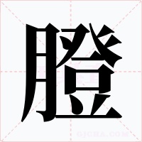 膯字的字形和写法