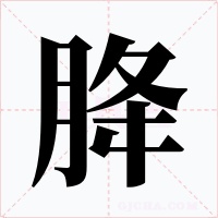 胮字的字形和写法