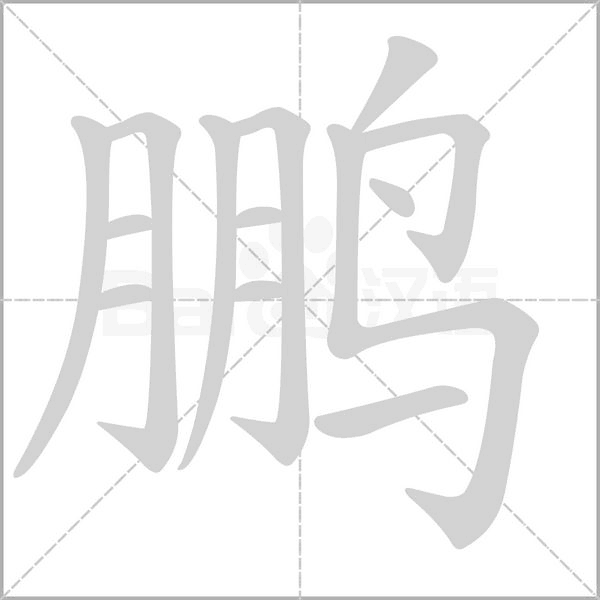 鹏字笔顺图