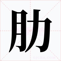 肋字的字形和写法