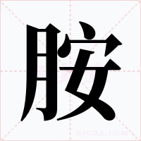 胺字字形