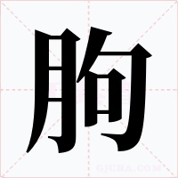 朐字的字形和写法