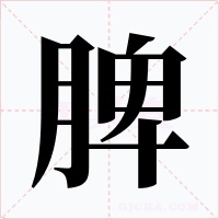 脾字字形