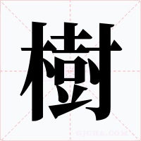 樹字的字形和写法