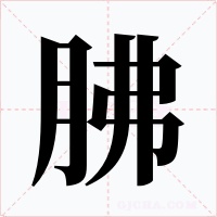 胇字的字形和写法