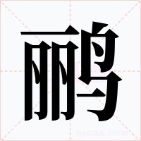 鹂字字形