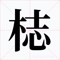 梽字的字形和写法