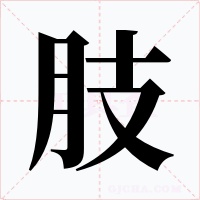 肢字字形