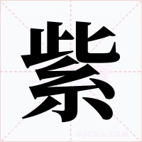 紫字字形