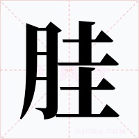 胿字字形
